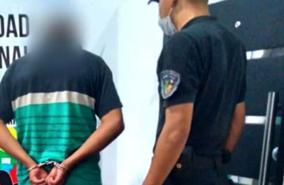 Quedó filmado mientras sustraía un televisor en Puerto Iguazú