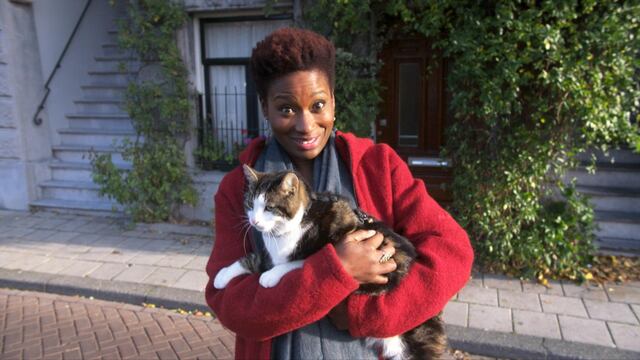 Los estrenos del sábado 5 de junio en Netflix.