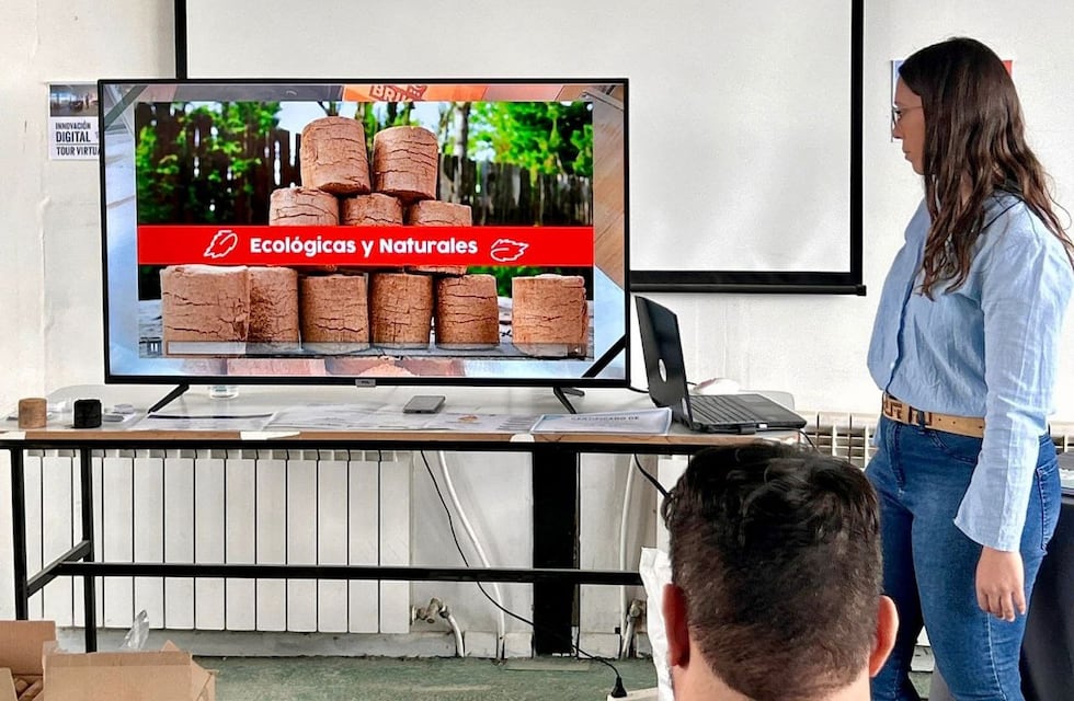 Se llevó adelante la Audiencia Pública correspondiente al proyecto “BRIK NIC”