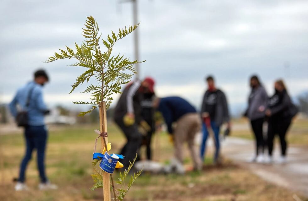 Día del Medio Ambiente: plantaron en Las Heras más de un centenar de árboles