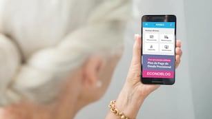 Cómo consultar el recibo de sueldo en Mi ANSES.