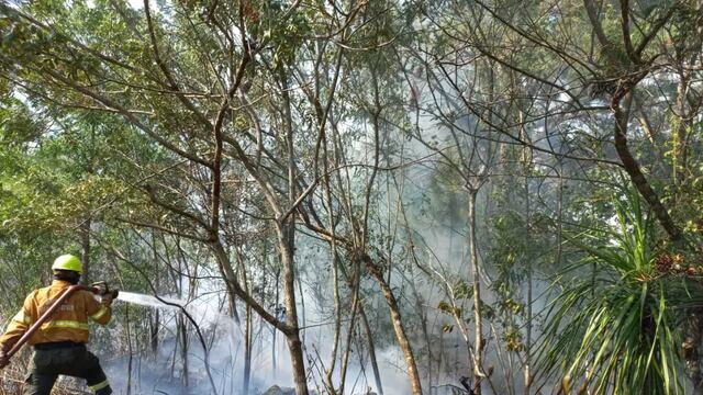 Ocho hectáreas de un área natural protegida consumidas por un incendio en Puerto Libertad.