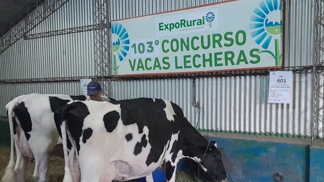 Comenzó el 103° concurso lechero de la ExpoRural de Rafaela