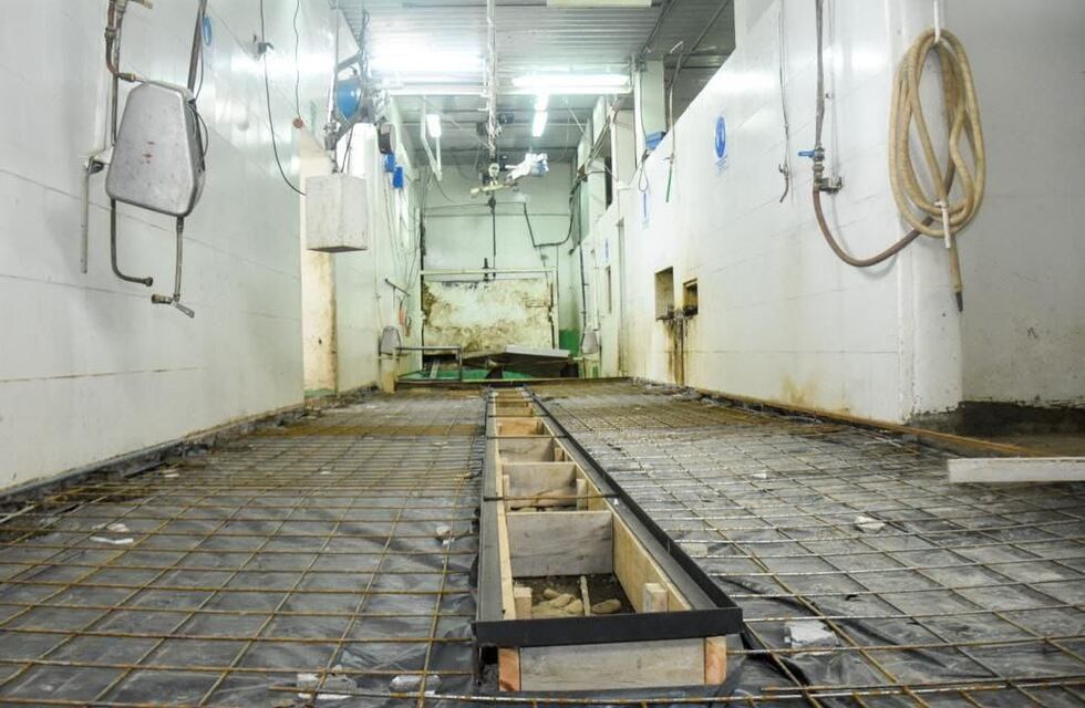 Avanza el plan de obras en el Matadero Municipal de Ushuaia