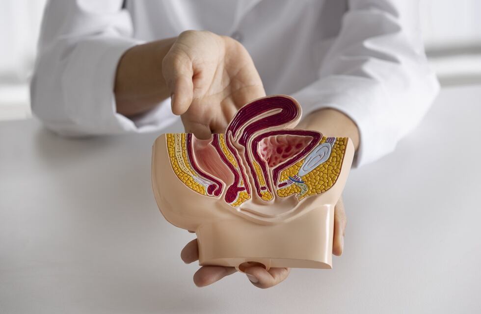 Gualeguaychú se une a la lucha contra el Cáncer de colon