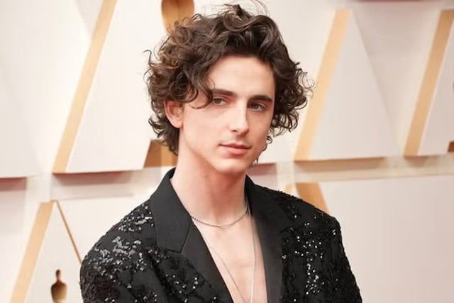 Timothée Chalamet, actor estadounidense.