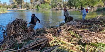 Los trabajos del Ente BioCórdoba para el saneamiento de la laguna del Parque Sarmiento.