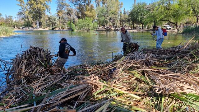 Los trabajos del Ente BioCórdoba para el saneamiento de la laguna del Parque Sarmiento.