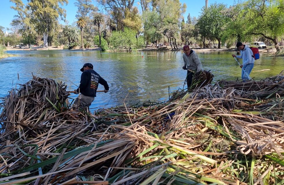 La Municipalidad de Córdoba avanza en el saneamiento de la laguna del Parque Sarmiento