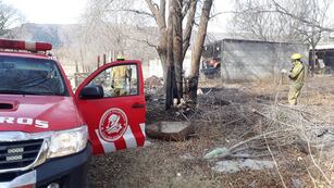 Bomberos en un terreno baldío tras incendio de postura baja y podas.
