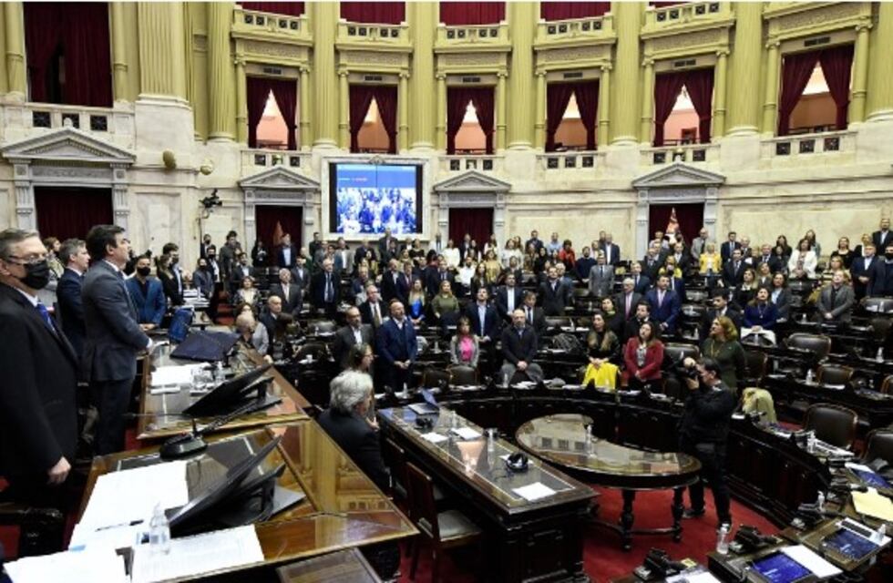 Boleta Única de Papel: el voto de cada uno de los diputados de San Luis