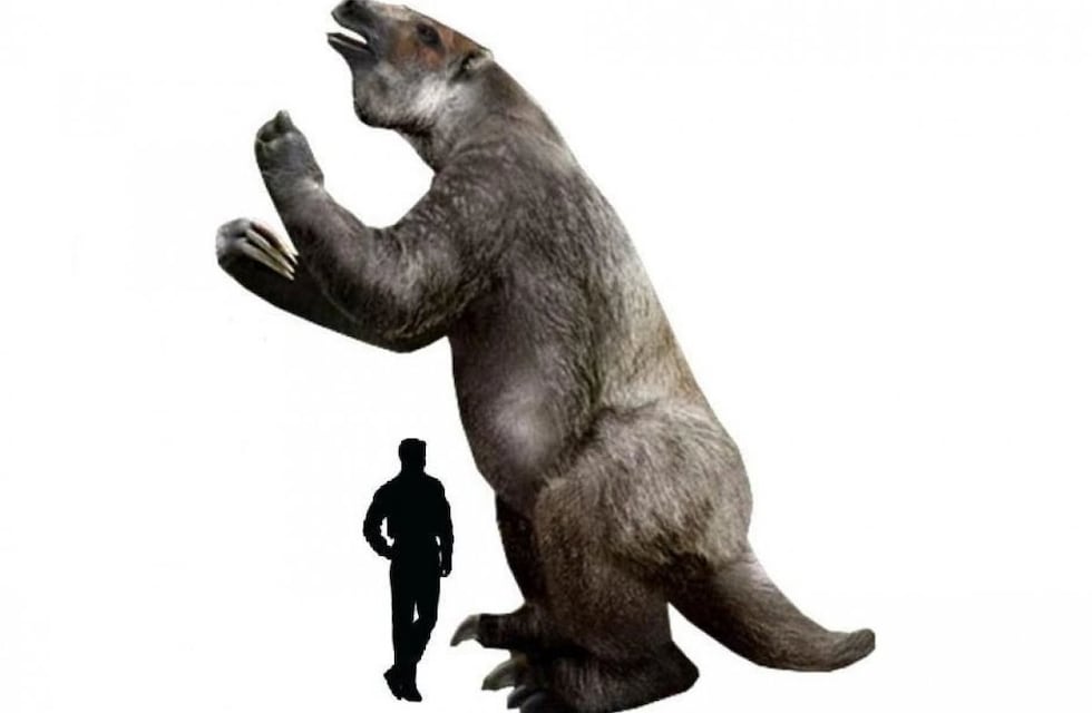 Identificaron restos fósiles de unos 10 mil años de antigüedad en Gualeguaychú