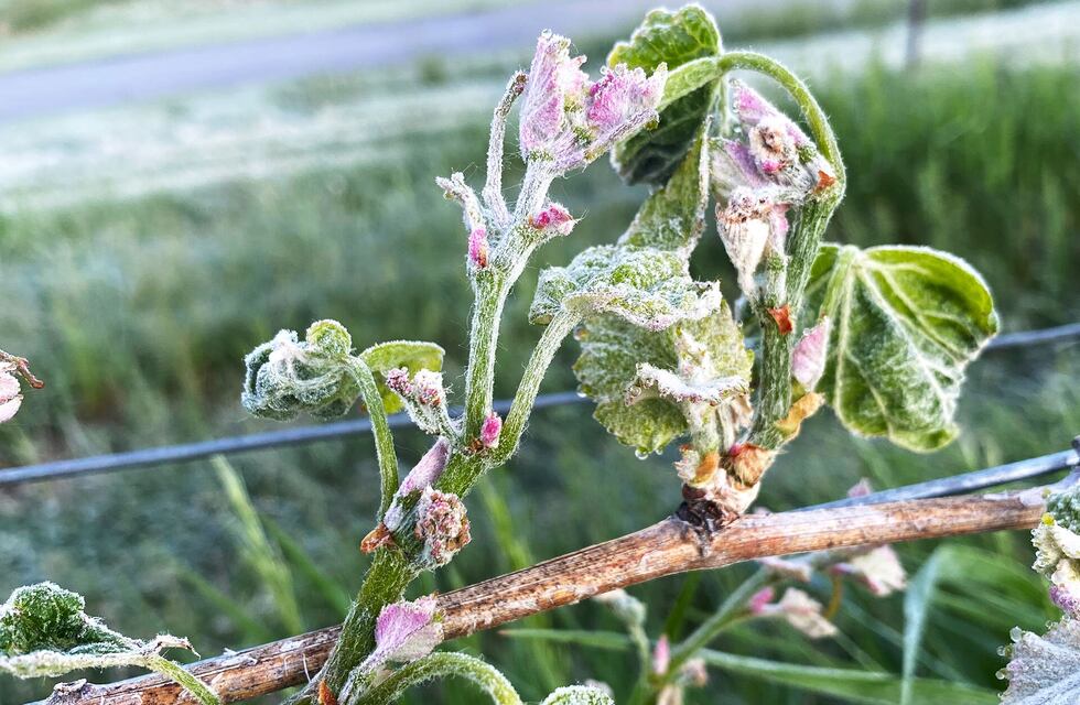 Clima en Punilla: madrugada helada y promesa de ascenso en la temperatura para el fin de semana