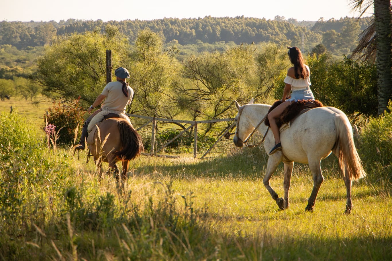 Concordia, destino de verano en Entre Ríos: carnaval, termas, naturaleza y experiencias al aire libre.