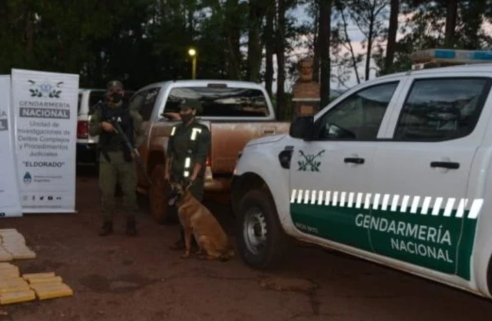 Puerto Esperanza: decomisaron más de 130 kilos de marihuana