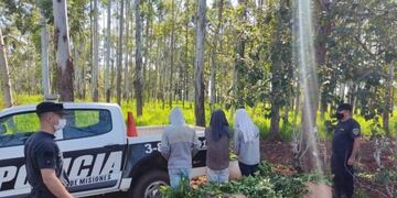 Terminaron detenidos por apeo ilegal de yerba.