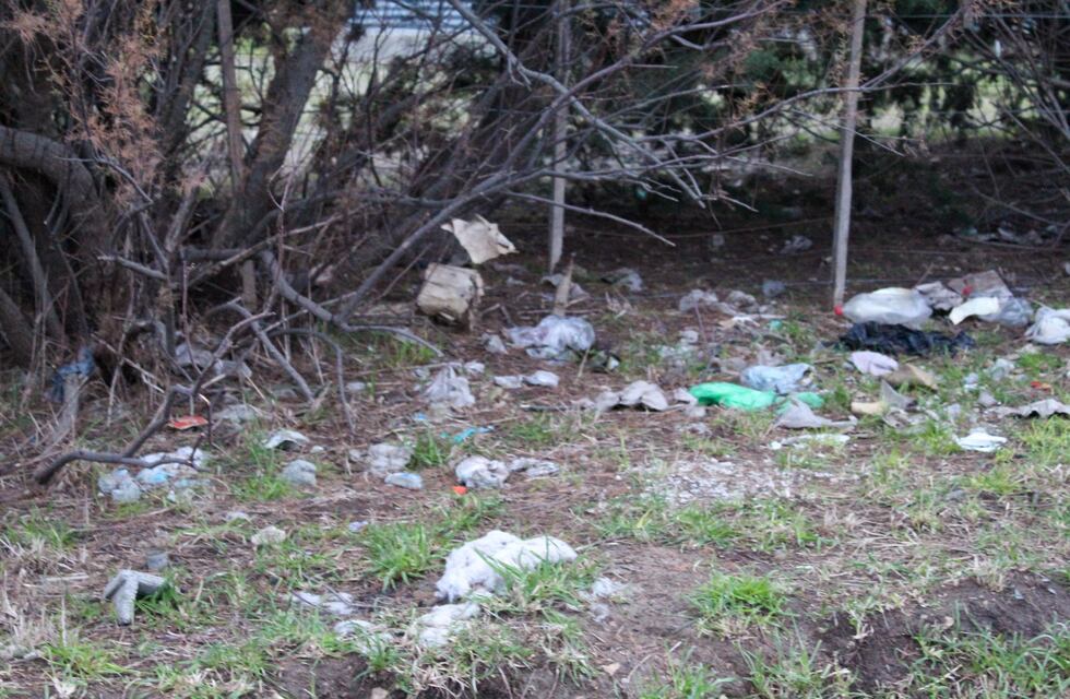 Tres Arroyos: el mantenimiento de veredas es una responsabilidad ciudadana