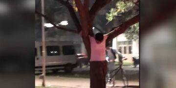 El joven pasó varias horas colgado de un árbol tras la bajada que se hizo el último viernes.