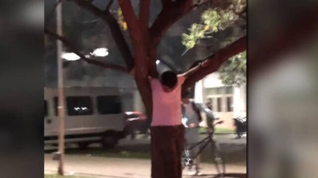 El joven pasó varias horas colgado de un árbol tras la bajada que se hizo el último viernes.