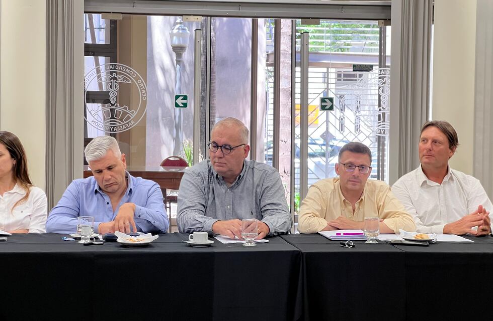 Lavacoches e impulso a los centros comerciales a cielo abierto, el pedido de los empresarios a los concejales