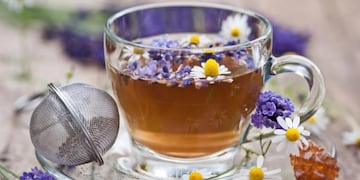 Té de manzanilla, una infusión para tener siempre en casa.