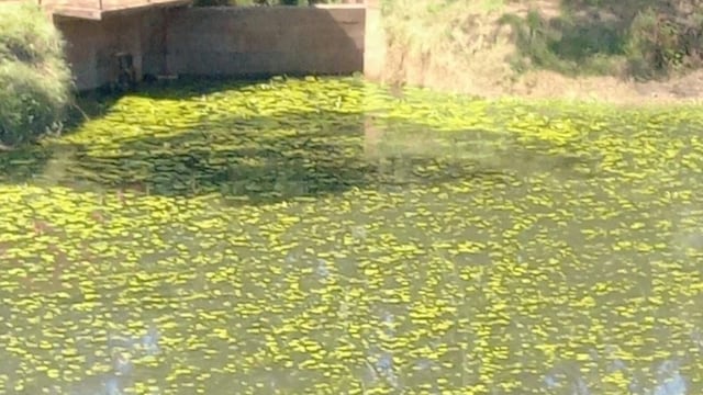 Crisis de agua potable en la localidad de Guaraní.