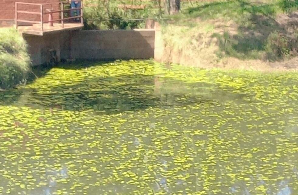 Crisis de agua potable en la localidad de Guaraní