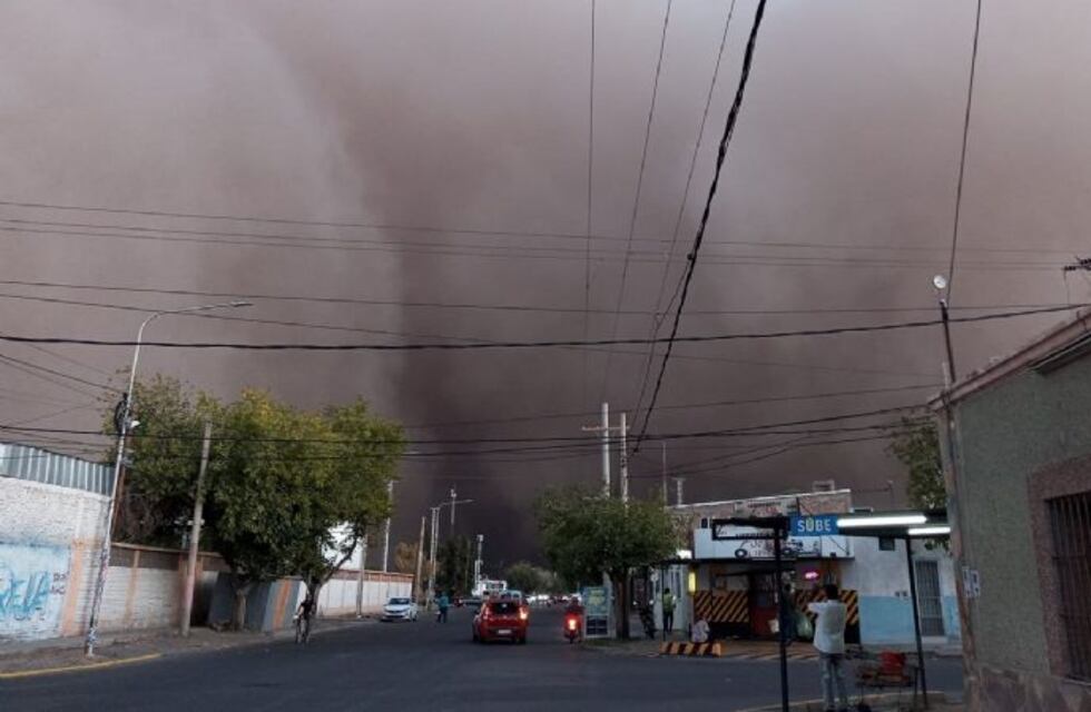 Un fuerte viento azotó a San Juan: hubo caída de árboles, cortes de luz y viviendas dañadas