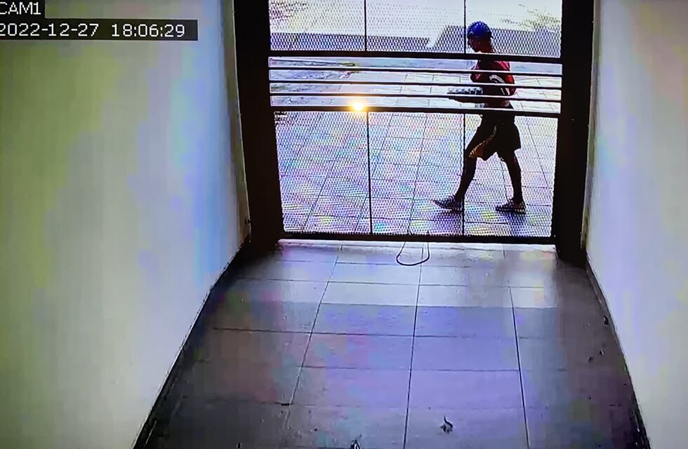 Insólito en Córdoba: dejó apoyado un maple de huevos en la verja de la casa ¡y se lo robaron!