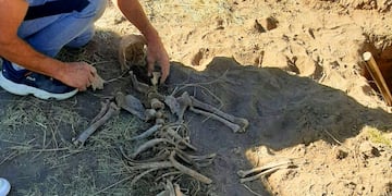 Esqueleto encontrado cerca de Rio V en San Luis