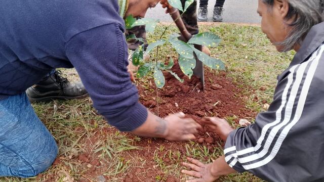 Jornada de plantación de árboles nativos en Puerto Iguazú.