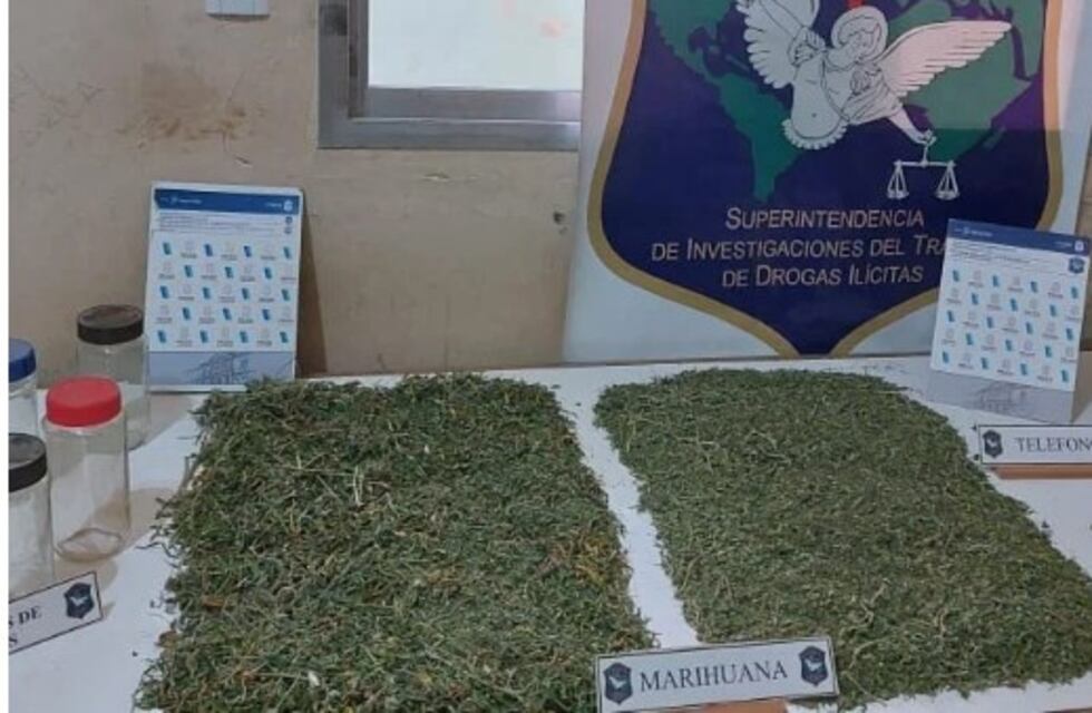 Allanamiento antidroga en Tres Arroyos: secuestran 1,5 kg de marihuana y 531 semillas de cannabis