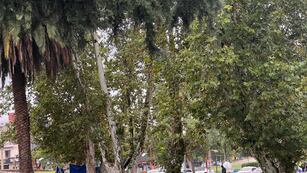 Muerto en la vía pública.