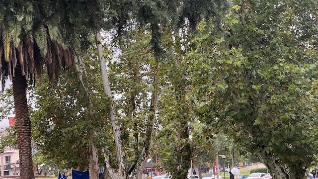 Muerto en la vía pública.