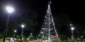 En San Rafael ornamentaron las principales plazas y paseos públicos con pinos gigantes de Navidad.