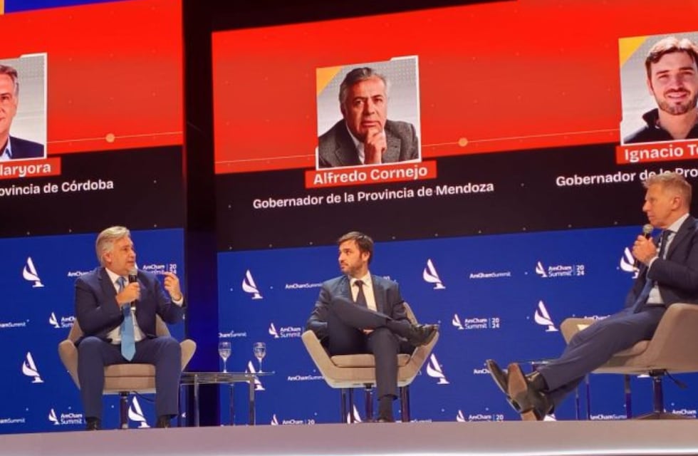 “Vos tenés que gobernar, no tuitear”: Llaryora apuntó contra Milei por el tratamiento del DNU en el Congreso