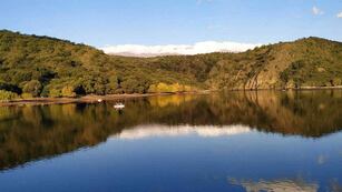 El espejo de agua está rodeado de vegetación.