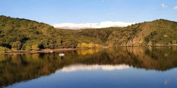 El espejo de agua está rodeado de vegetación.