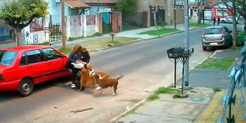 Entre tres perros atacaron a la mujer. (Captura de video)