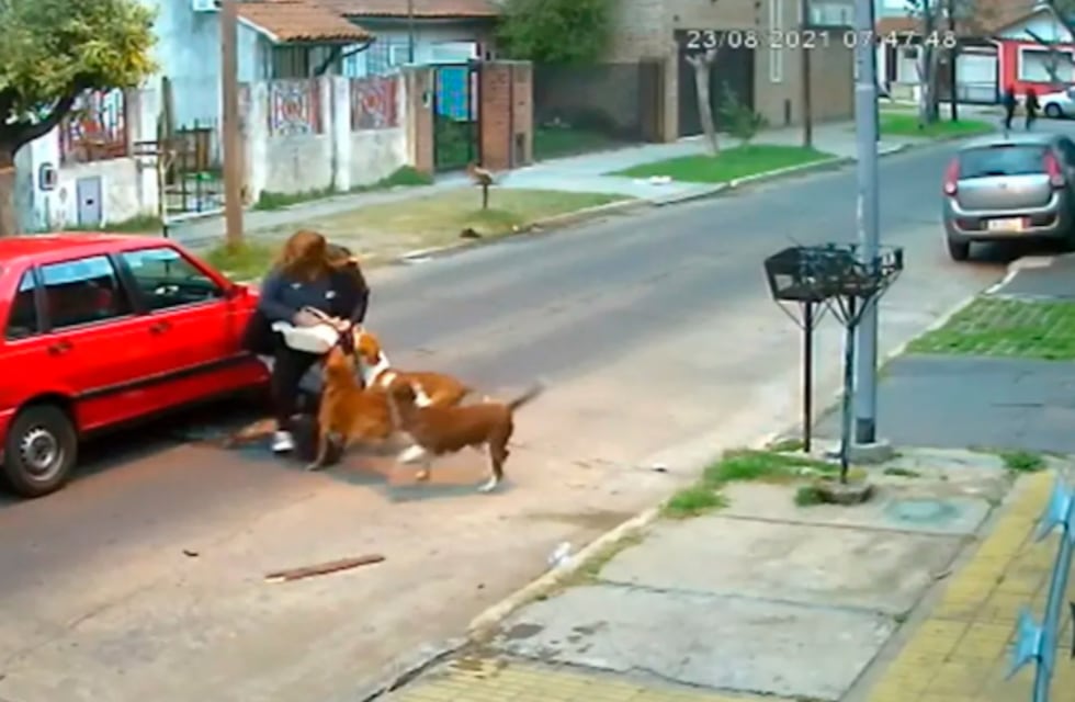 San Martín: tres perros pitbull atacaron ferozmente a una mujer en la calle