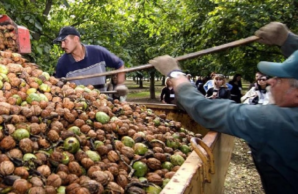 Asesoran sobre el programa Intercosecha en Guaymallén