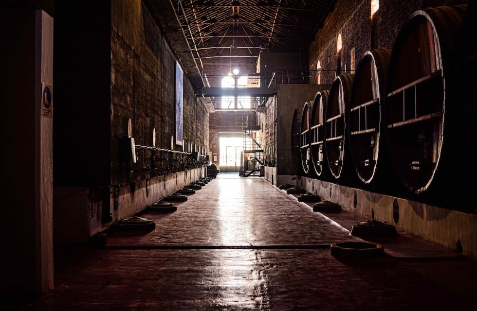 Dónde está la bodega más grande y premiada de Córdoba y cuántos litros de vino produce por año