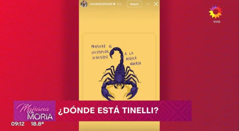 La picante indirecta de Cande Tinelli en medio del escándalo con Juanita: “Mosca muerta”