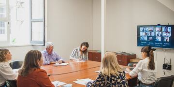 Actividades en las comisiones de la Cámara de Diputados.