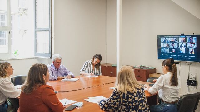 Actividades en las comisiones de la Cámara de Diputados.