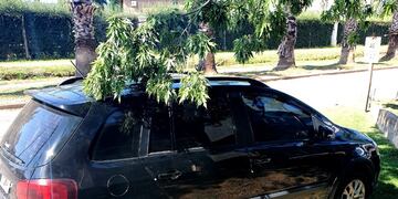 Le robaron a punta de pistola en la A012