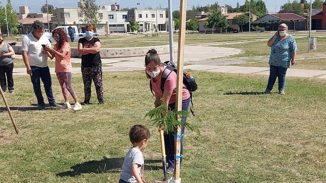 Durante la gestión de Matías Stevanato se plantaron 14.000 árboles en Maipú