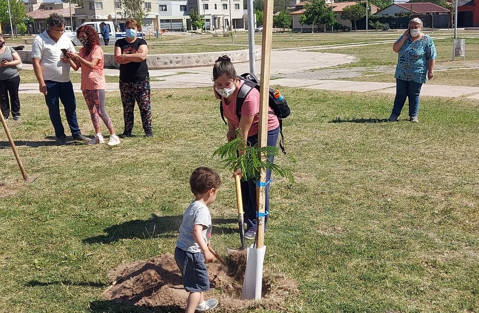 Durante la gestión de Matías Stevanato se plantaron 14.000 árboles en Maipú