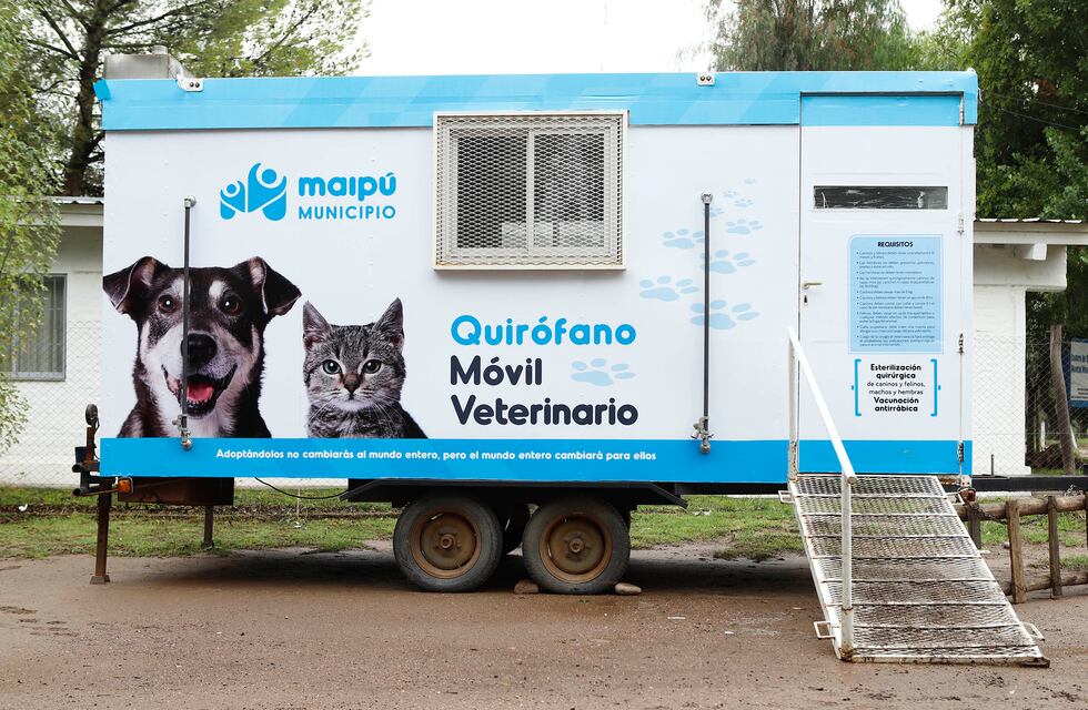 Así seguirá funcionando el móvil veterinario de Maipú hasta fin de año