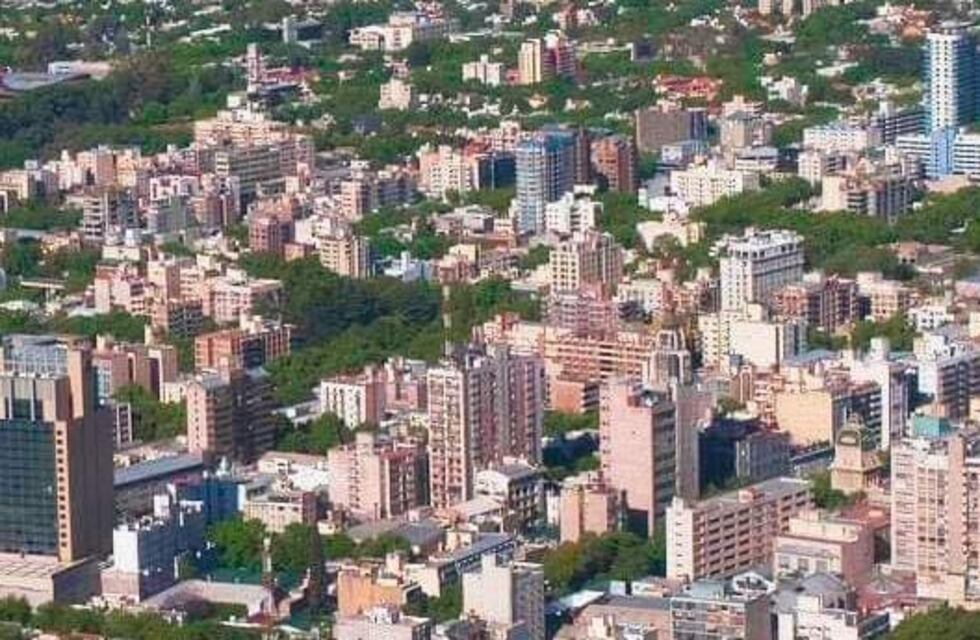 Un mendocino hizo viral una fotografía desde arriba mostrando la majestuosidad de los árboles que copan Mendoza